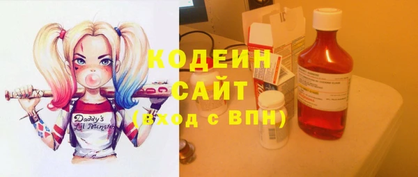 гашик Кулебаки