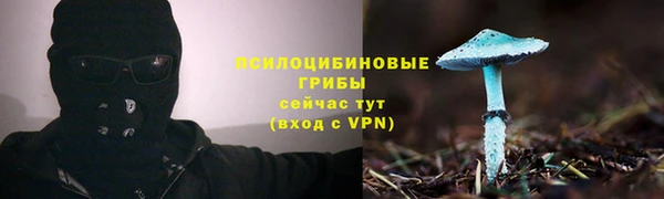 мяу мяу мука Куйбышев