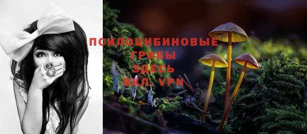 гашик Кулебаки