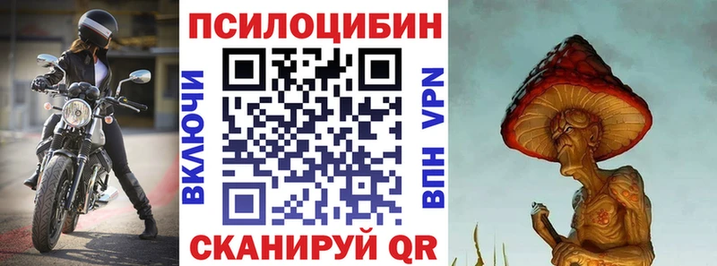 Купить где  Вязники  Галлюциногенные грибы ЛСД 