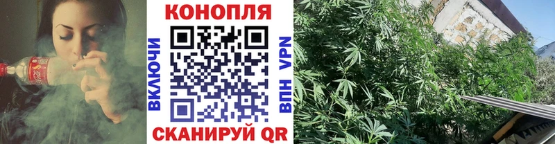 Конопля THC 21% Вязники